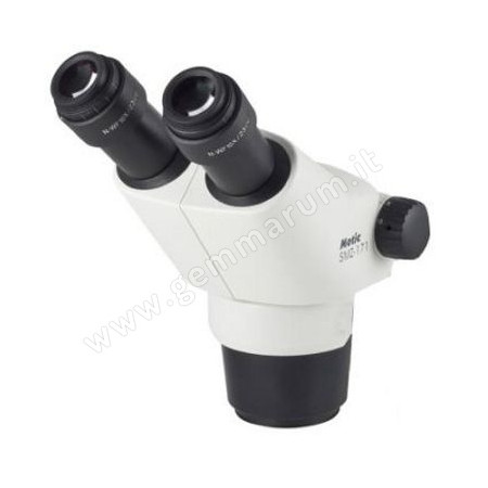 Stereokopf mit Binokularer Optik
