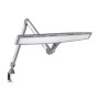 daylight lamp 6500°K