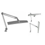 daylight lamp 6500°K