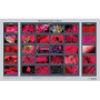 GIA wallchart Ruby Micro Features Chart