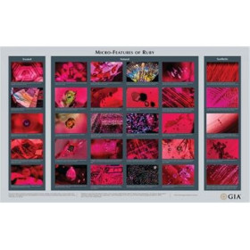 GIA wallchart Ruby Micro Features Chart