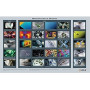 GIA Diamond Micro Features Wall Chart