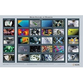 GIA Diamond Micro Features Wall Chart