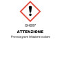 Hagerty schiuma per argento 185g
