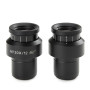 Okularpaar 20x/12mm
