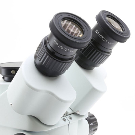 microscopio da gemmologia binoculare