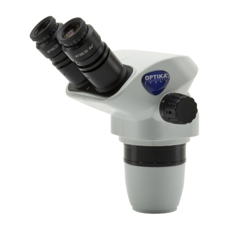 SZX Head binocular