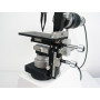 IMMERSION-MICROSCOPE Mod. Schneider