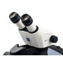 ZEISS Mikroskop für Gemmologie
