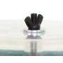 Vite per Buratto Raytech