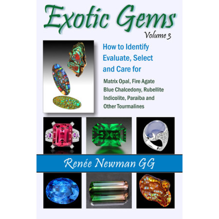 Exotic Gems Volume 3 by Renee Newman En