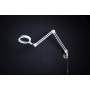 Wall and Table Mount for DayLight Lamps