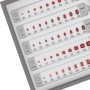 GEMSTONE SELECTOR - SET RUBINO E ZAFFIRO VARIE FORME
