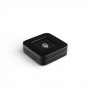 Wooden gemstone display box  66 × 66 × 25 mm