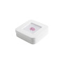 Wooden gemstone display box  66 × 66 × 25 mm