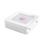 Wooden gemstone display box  88 ×88 × 25 mm