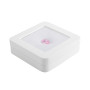 Edelstein-Präsentationsbox aus Holz 88 ×88 × 25 mm