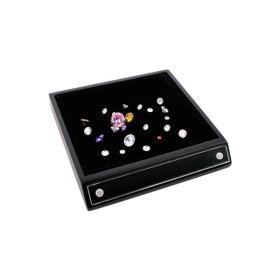 Display Tray with Tag Holder Space