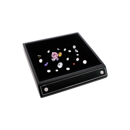 Display Tray with Tag Holder Space