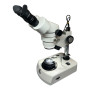 Stereomicroscopio Motic