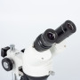 Stereomicroscopio Motic ricaricabile