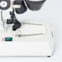 Motic Stereo Microscope