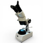 Motic Stereomikroskop