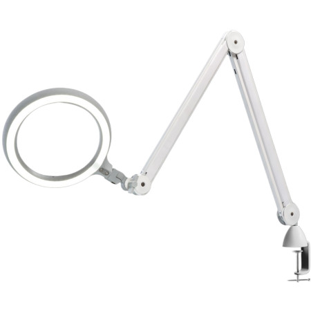 KALTLICHTLAMPE 6000°K