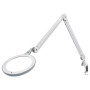 KALTLICHTLAMPE 6000°K